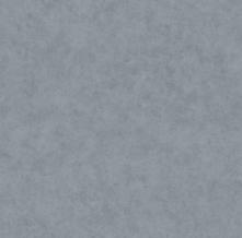 Обои BTO101489578 Beton 2 (Caselio)