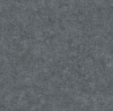 Обои BTO101489693 Beton 2 (Caselio)