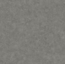 Обои BTO101489750 Beton 2 (Caselio)