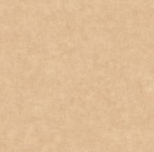 Обои BTO101482446 Beton 2 (Caselio)