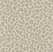 Обои 465006