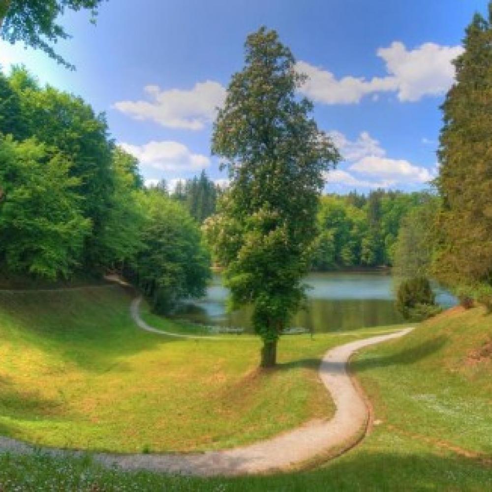 Обои 0870 Природа фотообои (Walldeco): фото, зображення, колір, малюнок