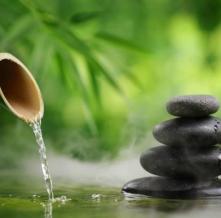 Обои 11781 Природа фотообои (Walldeco)