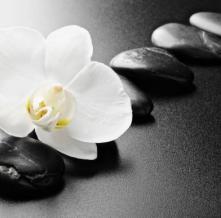 Обои 12209 Природа фотообои (Walldeco)