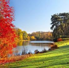 Обои 14444 Природа фотообои (Walldeco)