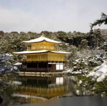 Обои 14967 Природа фотообои (Walldeco)
