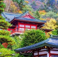 Обои 14969 Природа фотообои (Walldeco)