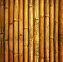 Обои 15039 Природа фотообои (Walldeco)