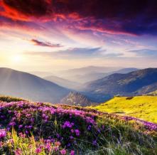 Обои 15305 Природа фотообои (Walldeco)