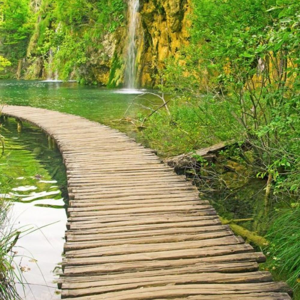 Обои 1557 Природа фотообои (Walldeco): фото, зображення, колір, малюнок