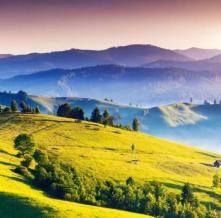 Обои 15866 Природа фотообои (Walldeco)