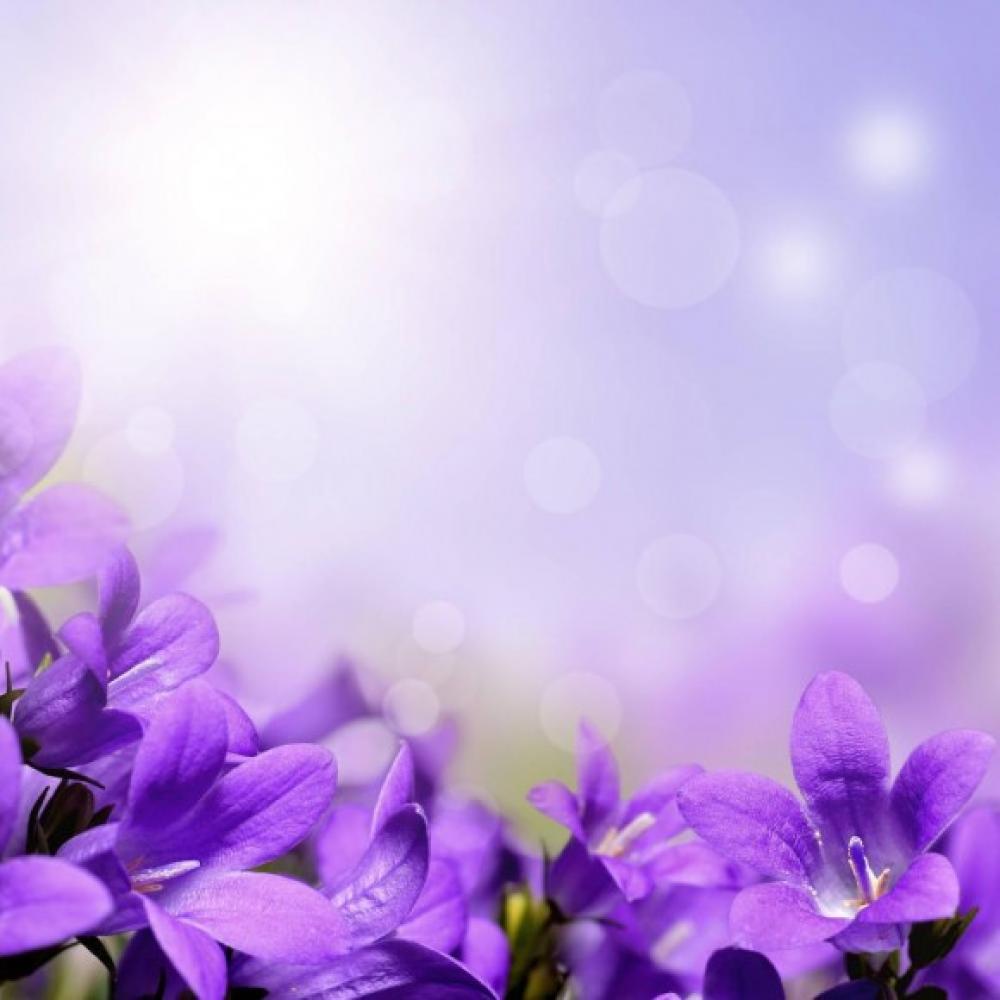Обои 18236 Цветы фотообои (Walldeco): фото, зображення, колір, малюнок