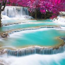 Обои 22073 Природа фотообои (Walldeco)