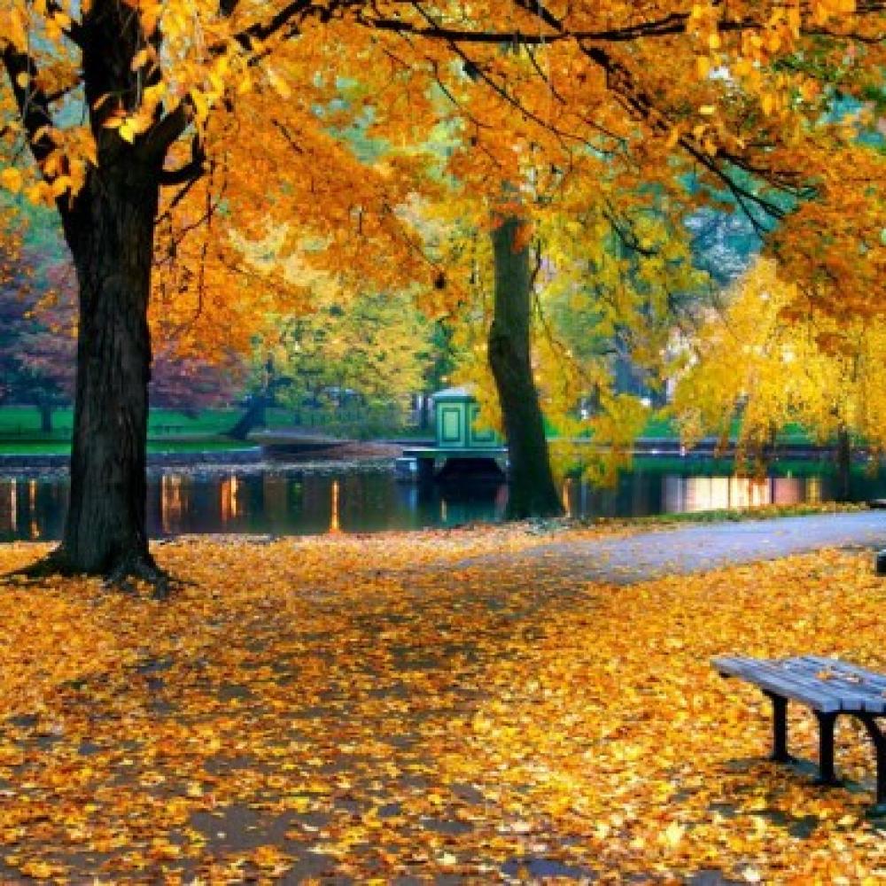 Обои 2552 Природа фотообои (Walldeco): фото, зображення, колір, малюнок
