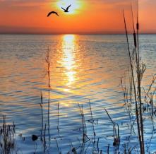 Обои 4432 Природа фотообои (Walldeco)