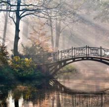 Обои 4796 Природа фотообои (Walldeco)