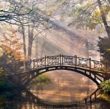 Обои 4800 Природа фотообои (Walldeco)