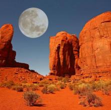 Обои 4923 Природа фотообои (Walldeco)