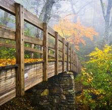 Обои 5104 Природа фотообои (Walldeco)