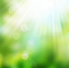 Обои 5566 Природа фотообои (Walldeco)
