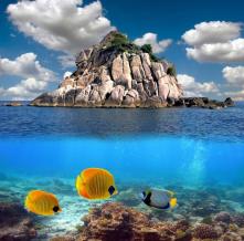 Обои 5573 Море фотообои (Walldeco)