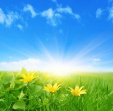 Обои 5634 Природа фотообои (Walldeco)