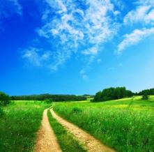 Обои 5686 Природа фотообои (Walldeco)