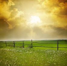 Обои 5772 Природа фотообои (Walldeco)