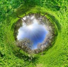 Обои 5830 Природа фотообои (Walldeco)