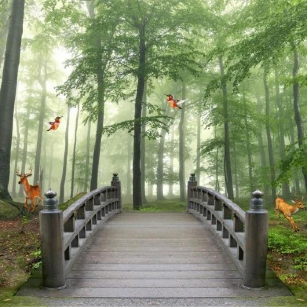 Обои deco-104 Природа фотообои (Walldeco): фото, зображення, колір, малюнок