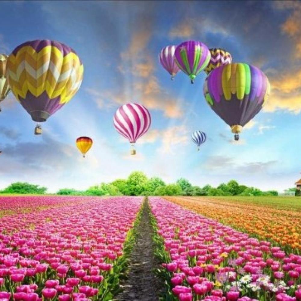 Обои deco-107 Природа фотообои (Walldeco): фото, зображення, колір, малюнок